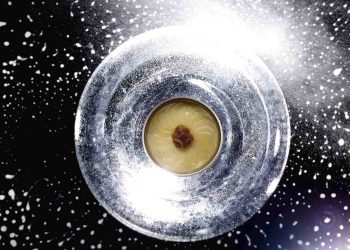 Gâteau de pommes de terre par Thierry Marx pour l'ISS et Thomas Pesquet - Crédits Mathilde de l'Ecotais